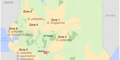 केन्या संस्थान के सर्वेक्षण और मानचित्रण पाठ्यक्रम